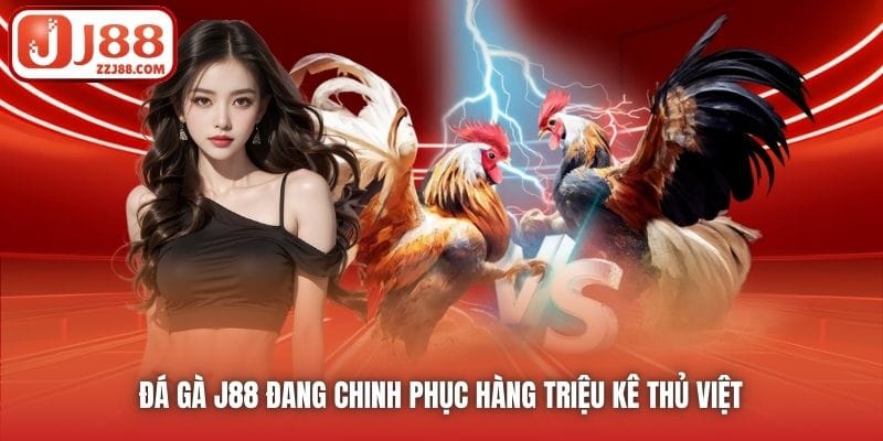 Đá Gà J88 đang chinh phục hàng triệu kê thủ Việt