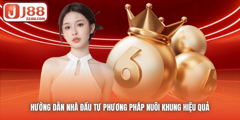 Hướng dẫn nhà đầu tư phương pháp nuôi khung hiệu quả 