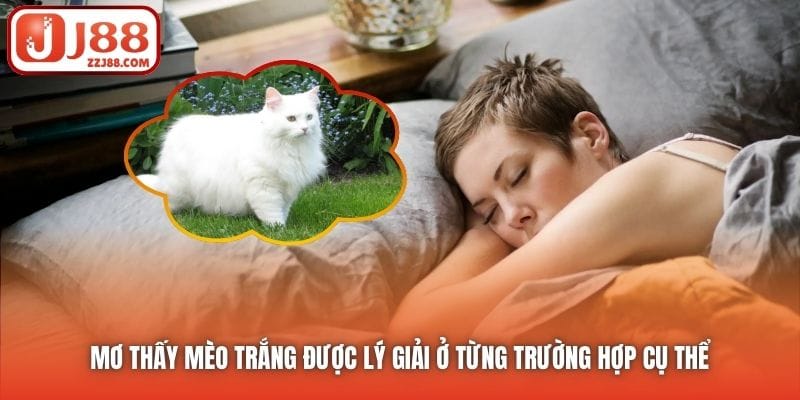 Mơ thấy mèo trắng được lý giải ở từng trường hợp cụ thể