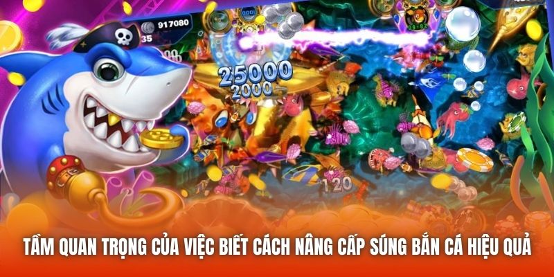 Tầm quan trọng của việc biết cách nâng cấp súng bắn cá hiệu quả