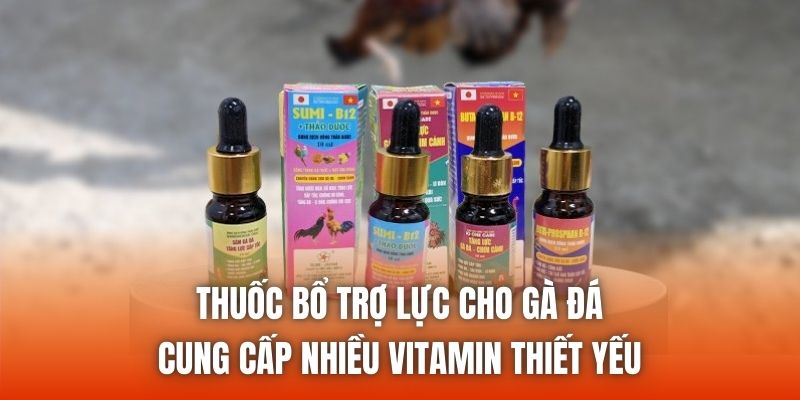 Thuốc bổ trợ lực cho gà đá cung cấp nhiều vitamin thiết yếu