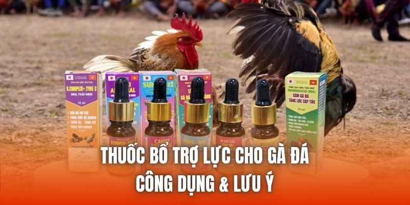 Thuốc Bổ Trợ Lực Cho Gà Đá - Công Dụng & Lưu Ý
